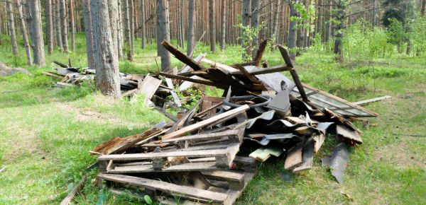 Debris Removal Service in New Smyrna Beach